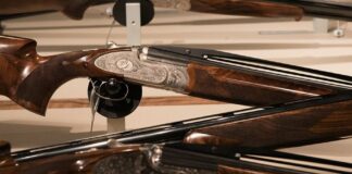 Approvata la proposta di legge sulla caccia in Sardegna