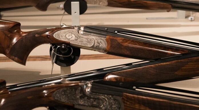 Approvata la proposta di legge sulla caccia in Sardegna