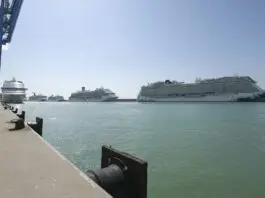 Sequestrati al Porto di Civitavecchia 80kg di marijuana, arrestato il corriere