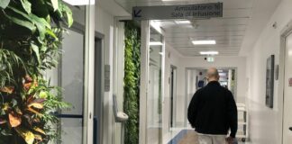 Al Policlinico Gemelli fioriscono i giardini verticali