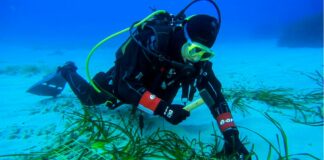 Tutela dei mari, al via il progetto “Save the wave” di E.ON e Ioc-Unesco