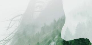 Nasce la foresta Volvo Trucks Italia