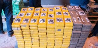 Malta, sequestrati 800 chili di cocaina colombiana