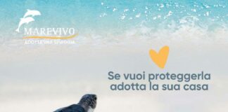 Riparte la campagna nazionale di Marevivo “Adotta una spiaggia”