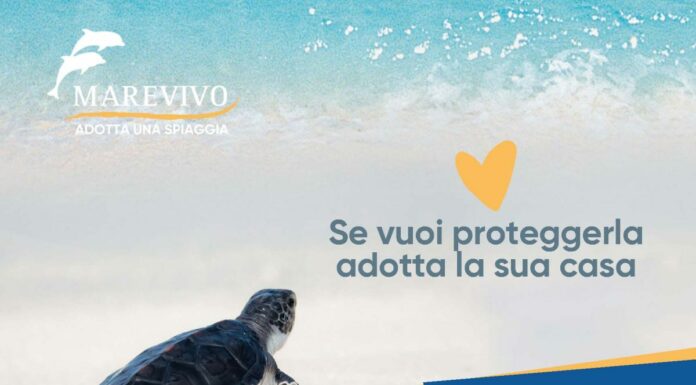 Riparte la campagna nazionale di Marevivo “Adotta una spiaggia”