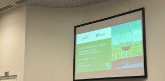 Vino, i giovani cercano sempre di più la qualità e non gli eccessi