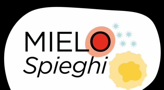 Tumori rari del sangue, ritorno alla vita focus di Mielo-Spieghi 2022