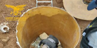 Sequestrati 342 kg di marijuana dal Corpo Forestale della Sardegna