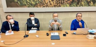 Parmigiano Reggiano, 15 milioni per il progetto “benessere animale”