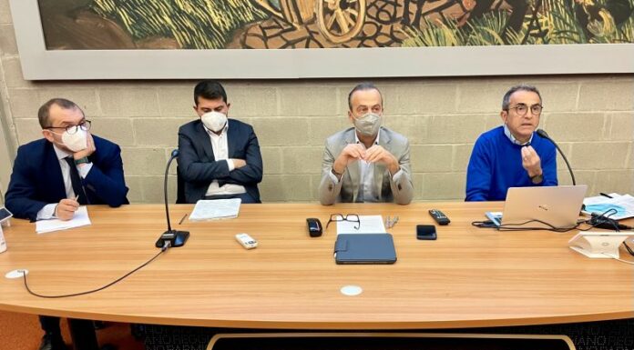 Parmigiano Reggiano, 15 milioni per il progetto “benessere animale”