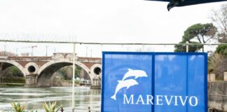 Tutela delle spiagge, riparte la partnership Marevivo-Rilastil