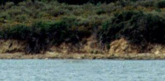 Sardegna, Solinas “2 mln agli enti locali per la difesa della costa”