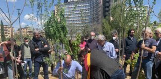 Zingaretti “Con progetto Ossigeno 250 nuovi alberi a Garbatella”