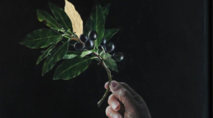 Biennale d’arte, “Alloro” è l’allestimento del Padiglione Venezia