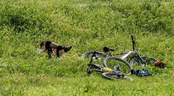 “La transizione ecologica e l’informazione” tema del Premio Gianni Massa