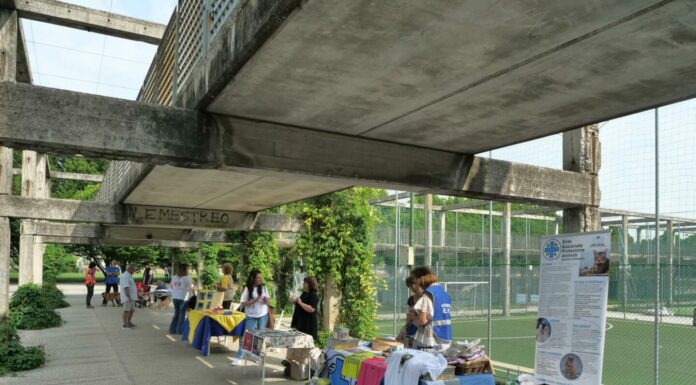 Al Parco Albanese l’evento finale del progetto “Get up”