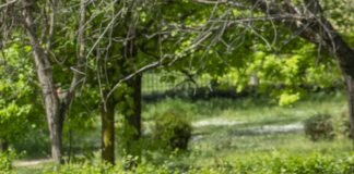 Parchi naturali della Sardegna, ddl approvato dalla giunta