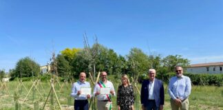 Arbolia, nel Milanese un bosco urbano di oltre mille piante