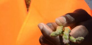 Caporalato, nel Lazio un fondo di garanzia abitativa da 500mila euro