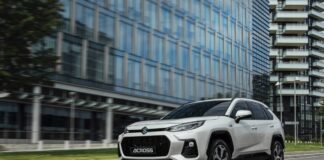 L’intera gamma ibrida di Suzuki accede agli incentivi statali