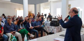 Peste suina in Sardegna, Nieddu “Ue rimuova restrizioni”