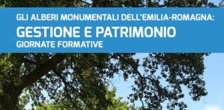 Emilia Romagna terra di alberi monumentali, arriva il corso per esperti