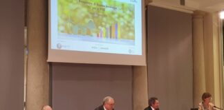 Banche e Fintech alleati per Pmi più forti e sostenibili