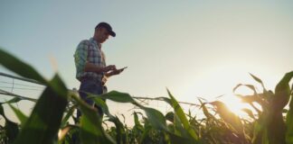 Nestlè, innovazione “trasforzativa” per rafforzare processi aziendali