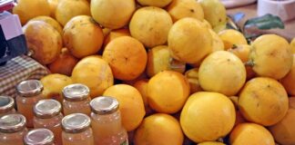 Sardegna, prodotti tipici a Km 0 con il progetto “Mensarda”