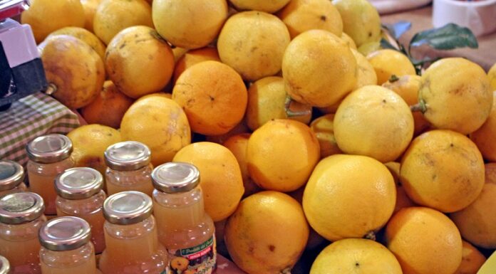 Sardegna, prodotti tipici a Km 0 con il progetto “Mensarda”