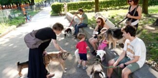 Fvg, investimento da 25 mln per nuovo stabilimento “pet food”