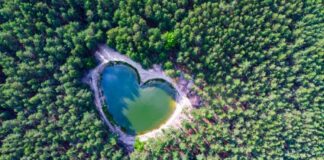 Sostenibilità ambientale, da VOIhotels nuova collaborazione con Treedom