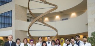 Terapia genica, ideato un protocollo basato su mRNA che evita la chemio