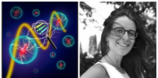 Pubblicato su Pnas lo studio UniPa sulle sonde quantistiche indistinguibili