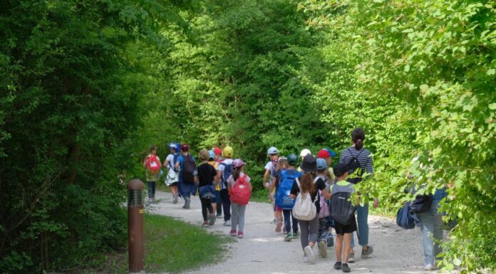 Un albero per ogni bambino, 600 scolari al bosco di Mestre