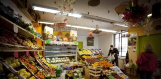 La crisi dell’ortofrutticolo in Sardegna in commissione attività produttive