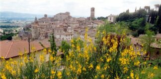 Toscana, il 7 giugno ad Arezzo torna il “Pa social day”