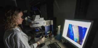 Mucopolisaccaridosi di tipo 6, buone prospettive dalla terapia genica