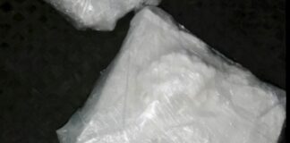 A Trieste sequestrate 4,3 tonnellate di cocaina, 38 gli arrestati