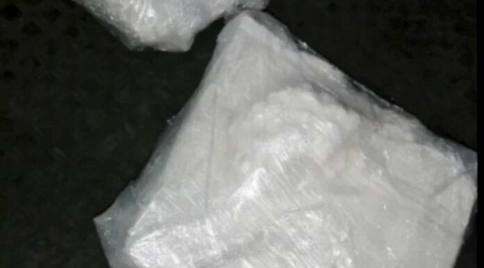 A Trieste sequestrate 4,3 tonnellate di cocaina, 38 gli arrestati