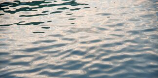 Giornata degli Oceani, MiTe “Primo passo verso Mediterraneo zona SECA”