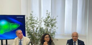 Colangite biliare primitiva, 18mila pazienti “Serve network tra regioni”