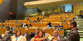 Malta elected member of the UN Security Council