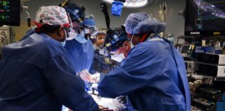 All’Arnas Civico di Palermo due trapianti di rene in poche ore