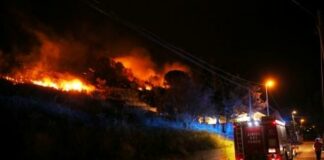 Roghi nel Palermitano, in Sicilia bruciano ettari di vegetazione