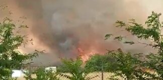 Paura per un vasto incendio a Roma, case evacuate e intossicati