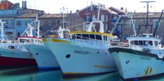 Veneto, dal 5 luglio gli stati generali della pesca