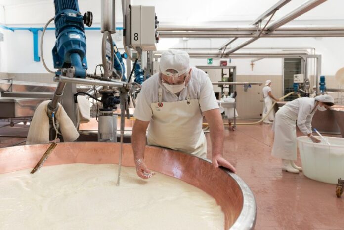 17-07-2020: Parma, come nasce il Parmigiano Reggino, viaggio nel caseificio di Borgo val di Taro