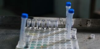 Covid, in Lombardia 12.646 nuovi casi e 29 decessi