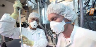 Lavoro, crescono le assunzioni nei primi otto mesi